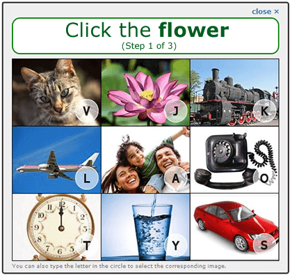 CAPTCHA example showing images of different pictures and asking the user to click on the flower.